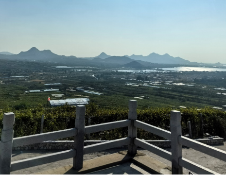 平度大澤山葡萄園引進(jìn)萊恩德土壤肥料檢測儀， 輕松掌握土壤營養(yǎng)